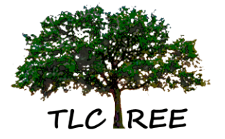 TLC Tree Raymond Maine