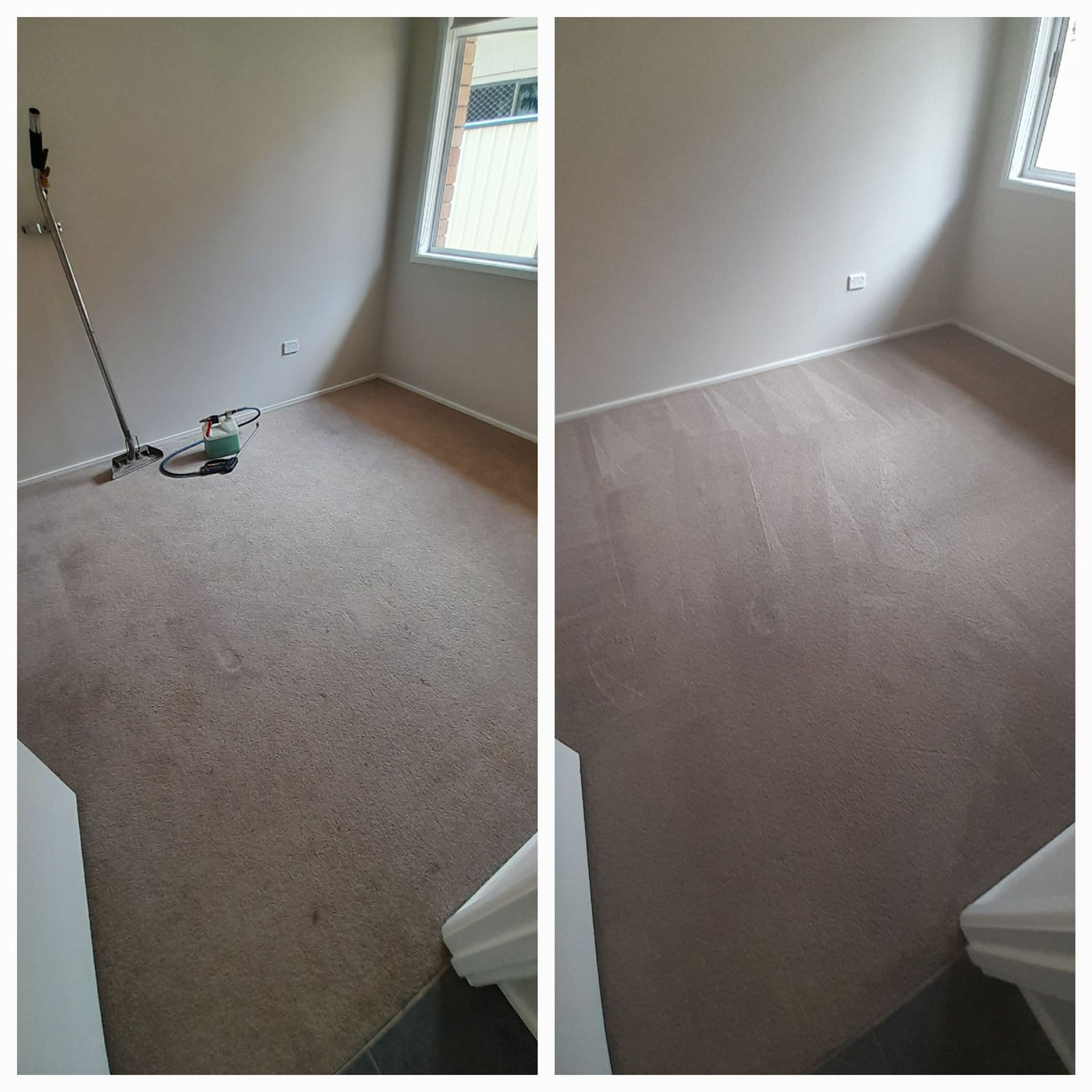 Carpet Being Cleaned With a Machine — Magic Mist Carpet Cleaning in Rockhampton City, QLD