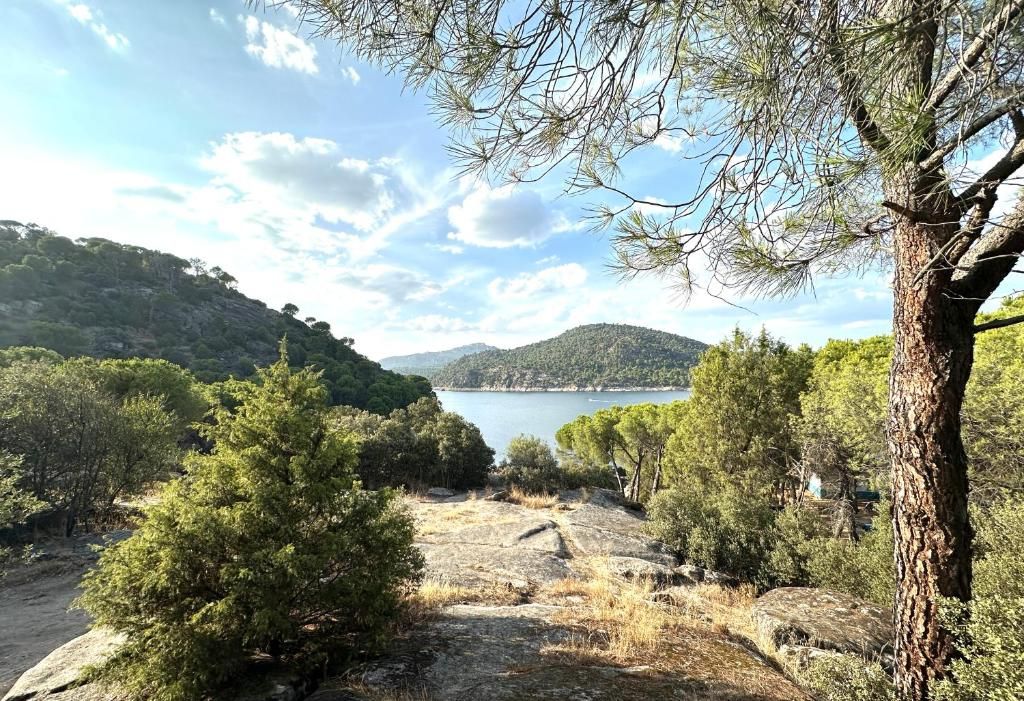 Un árbol se encuentra frente a un lago con montañas al fondo.