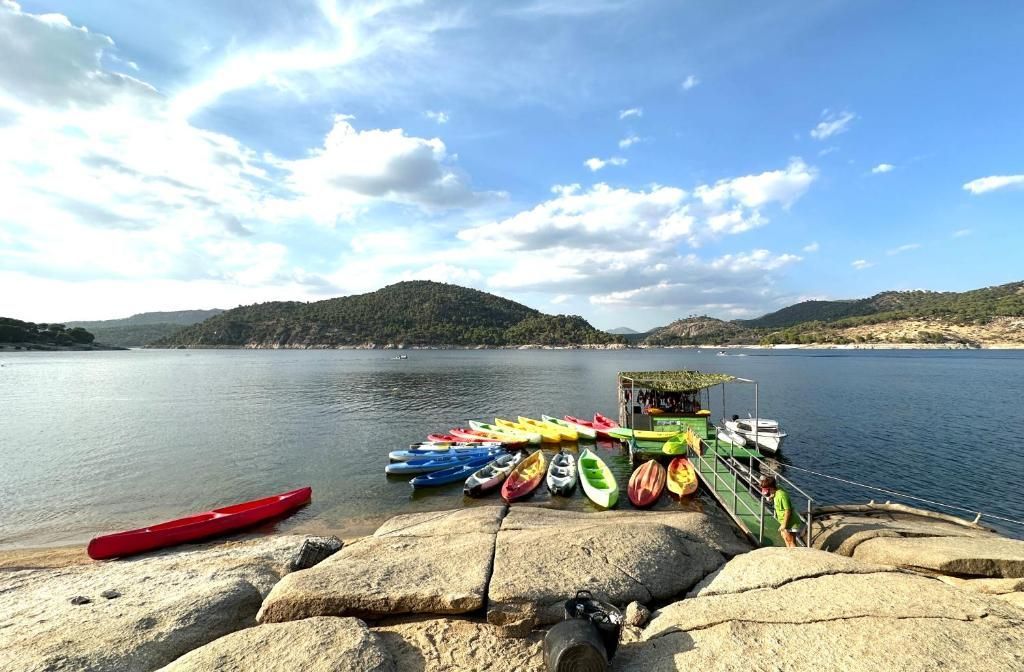 Un grupo de kayaks está sentado en la orilla de un lago.