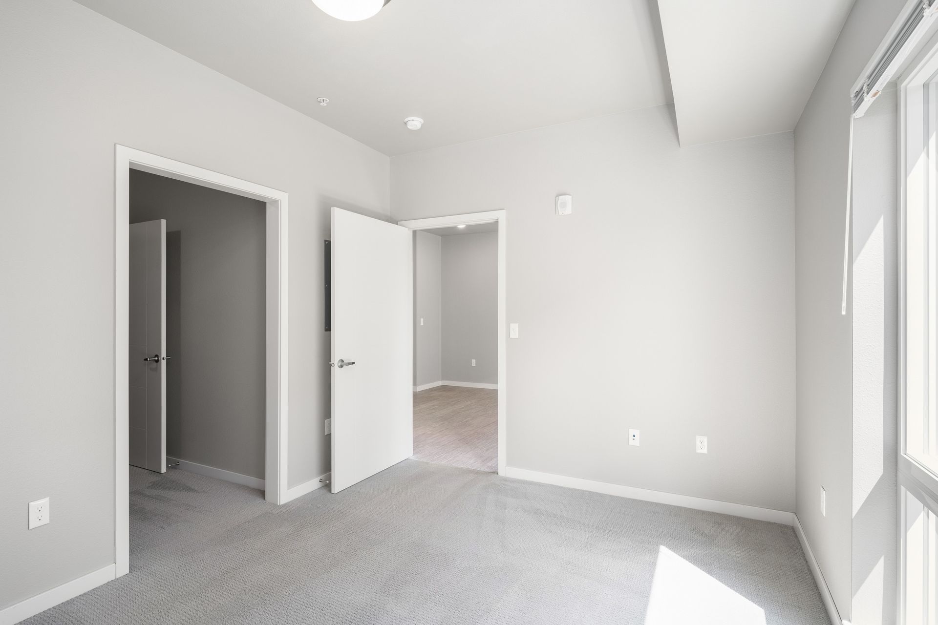 Empty, light-grey-walled room with three white doors and a large window. Grey carpet. Bright light.