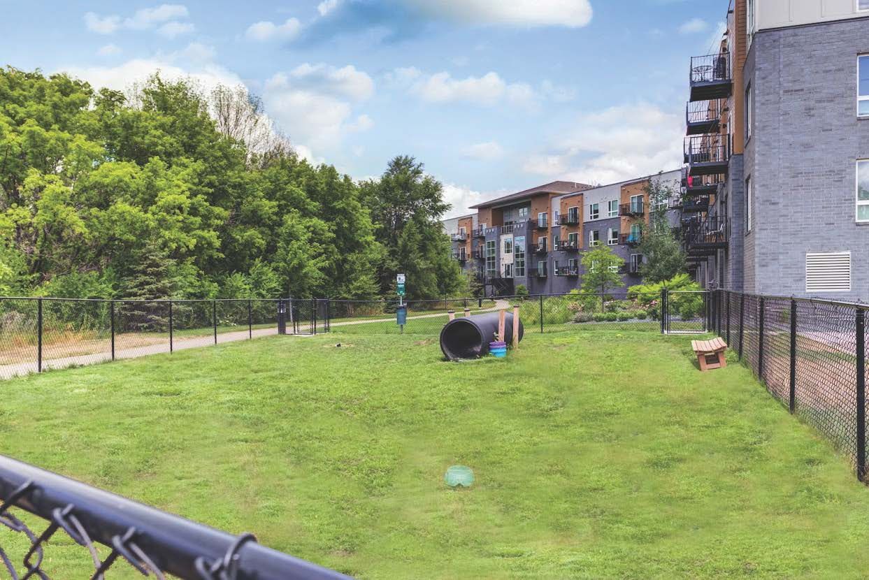Dog park with fenced-in green space, tunnel, and apartment buildings in the background on a sunny day.