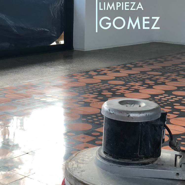 LIMPIEZA GÓMEZ 
