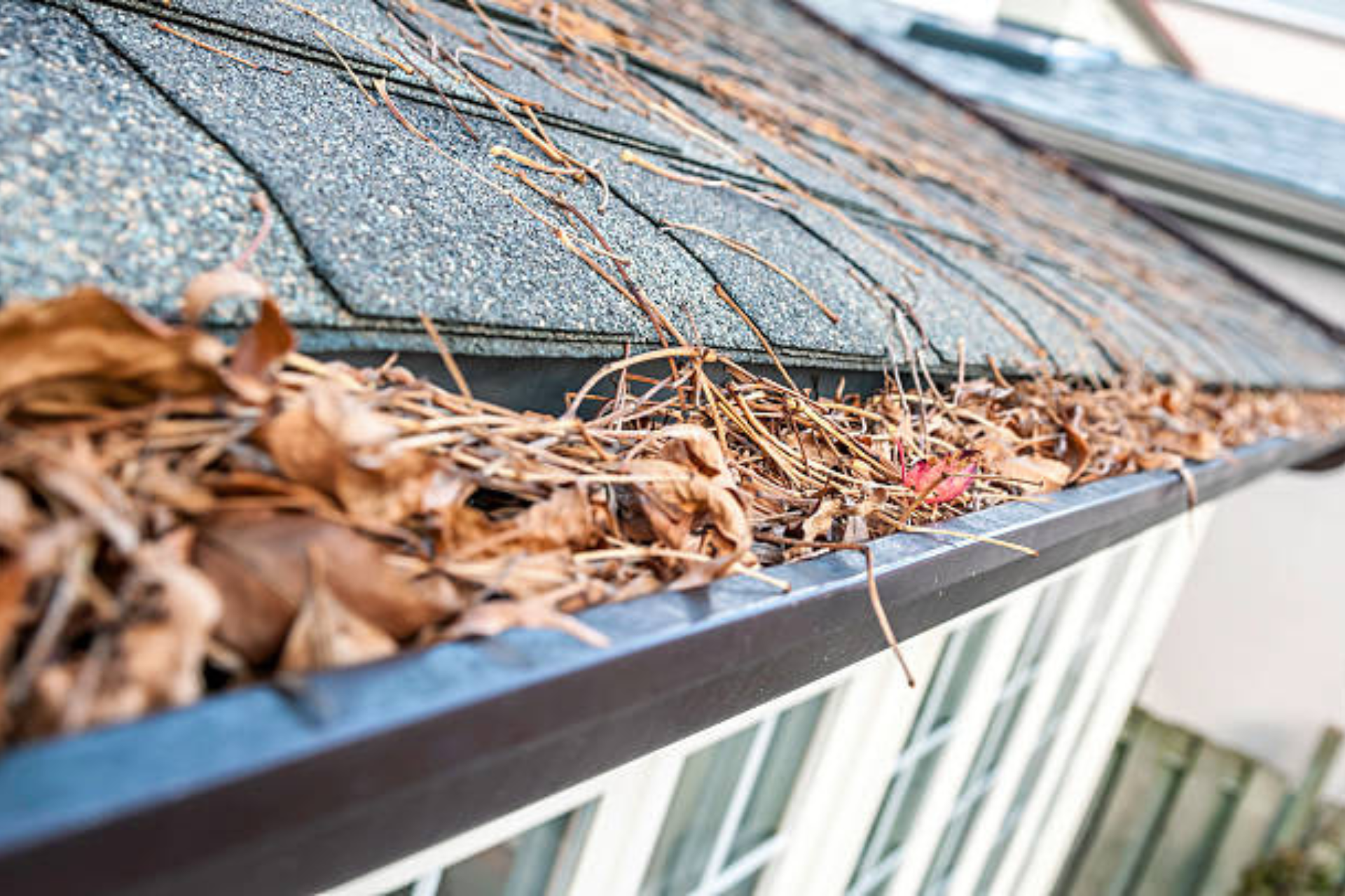 gutter contractors indianapolis