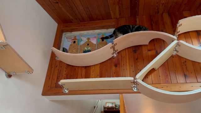 Shop Modular Cat Wall Furniture & Shelves