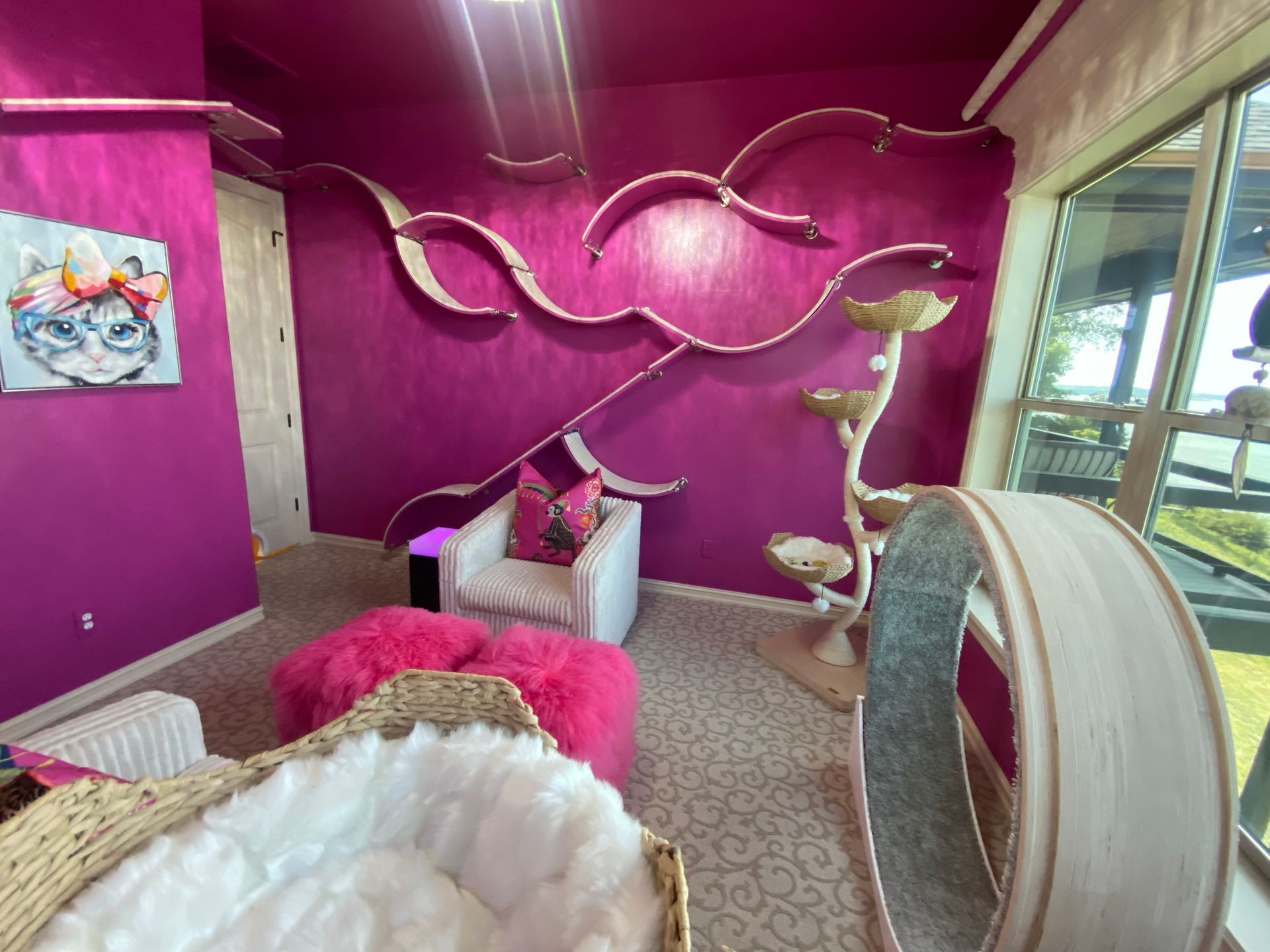 Modular Cat Furniture, 3-Curved Cat Shelves, The Eagle