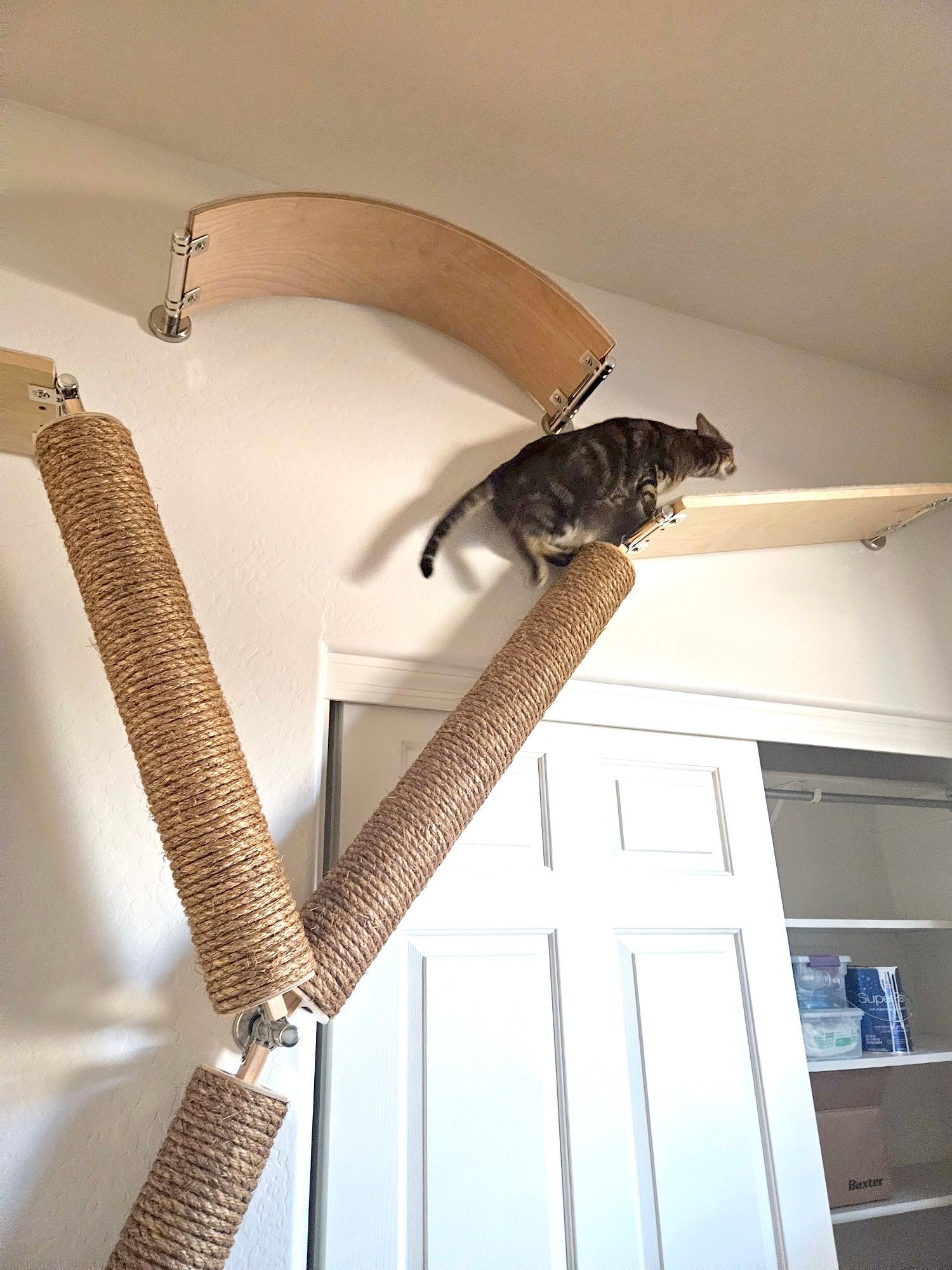 Cat Climbing Pole, Wall-Mounted Scratching Post, 42-inch Trunk