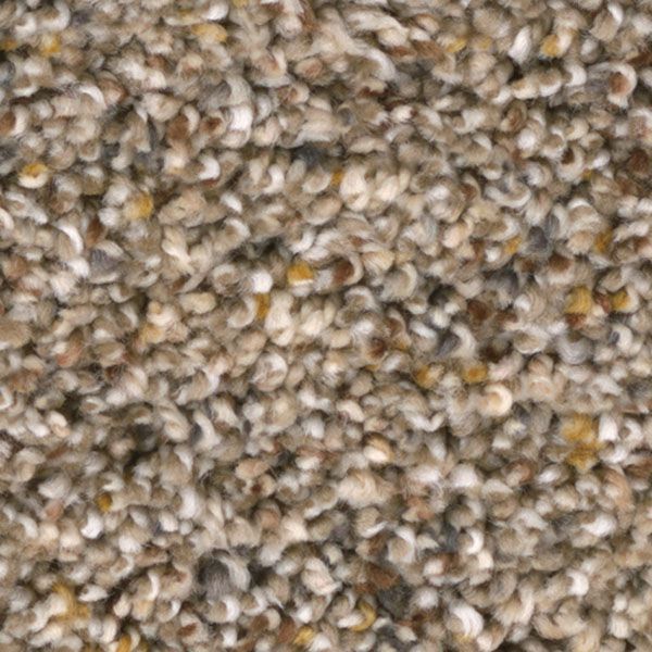 Close-up of a speckled carpet with beige, brown, and white fibers.