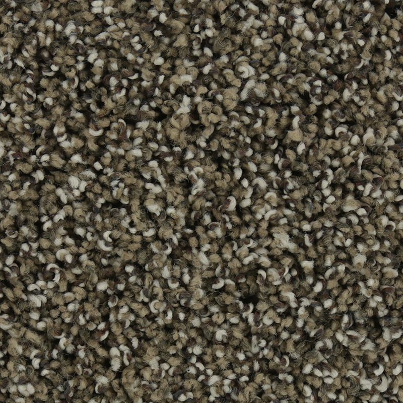 Brown and beige speckled textured carpet.