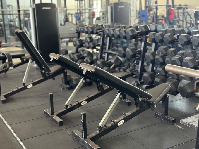 palestra