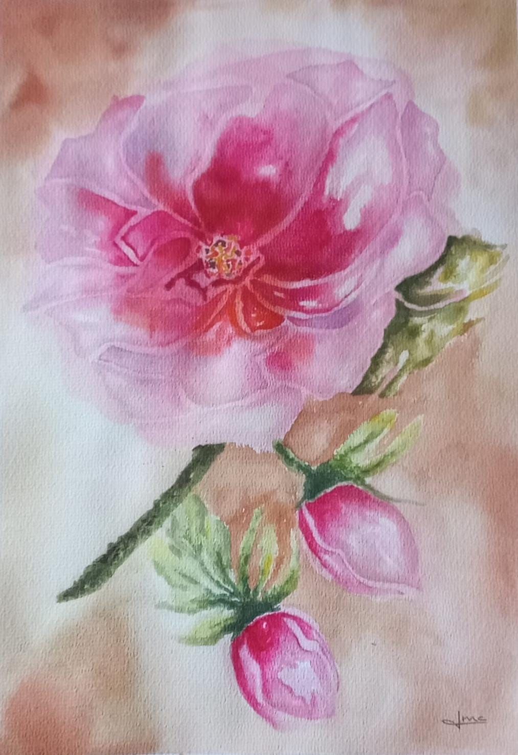 Jovita Menchaca Delicada naturaleza