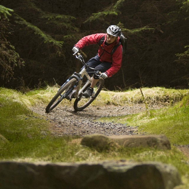 Mountain Bike Holidays Scotland Gorsebank