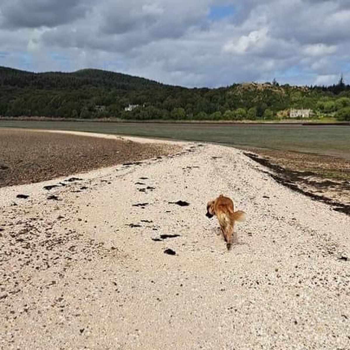 Sandyhills Beach near Gorsebank Holiday Village Dalbeattie