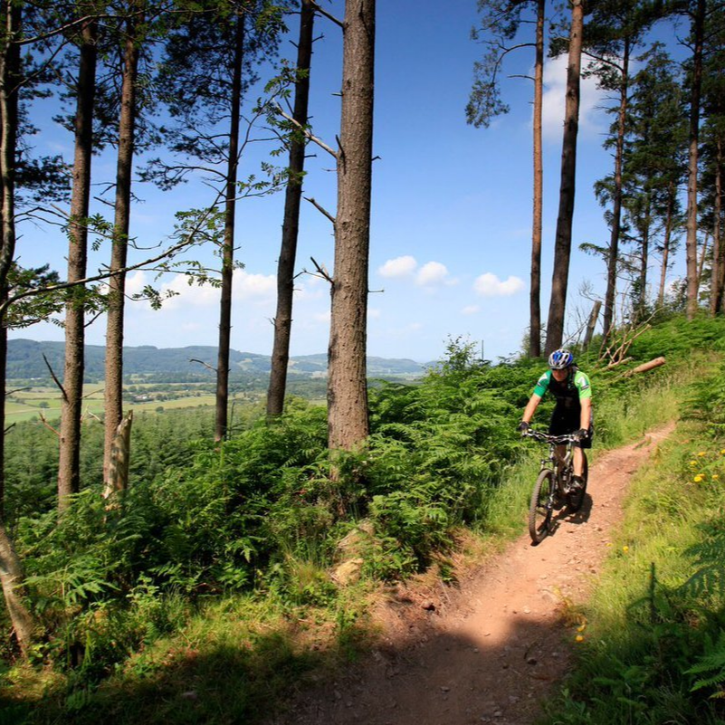 Gorsebank Glamping Scotland Gorsebank Glamping Scotland