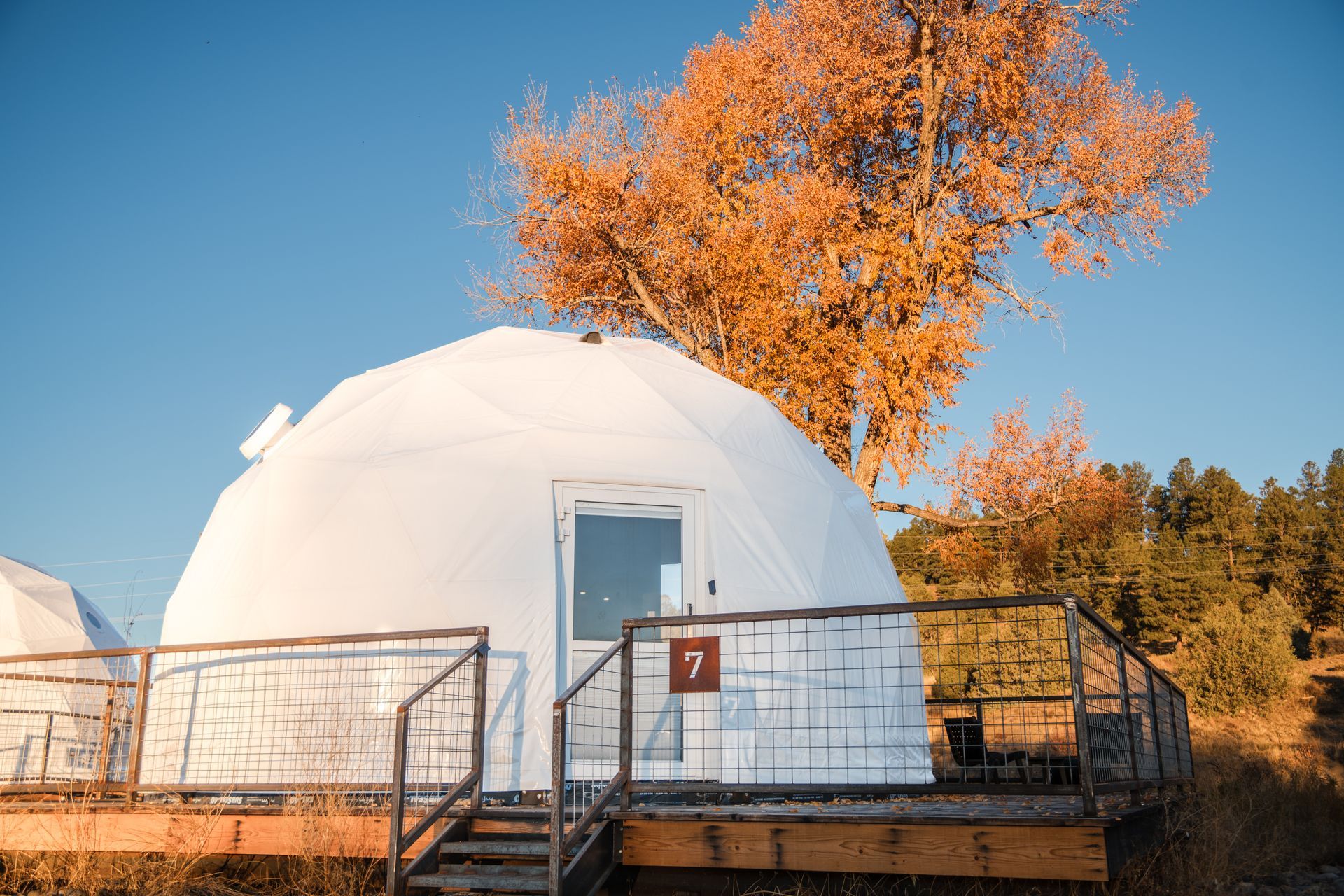 White dome-shaped glamping structure with a door and deck, under a tree with orange leaves, against a blue sky.