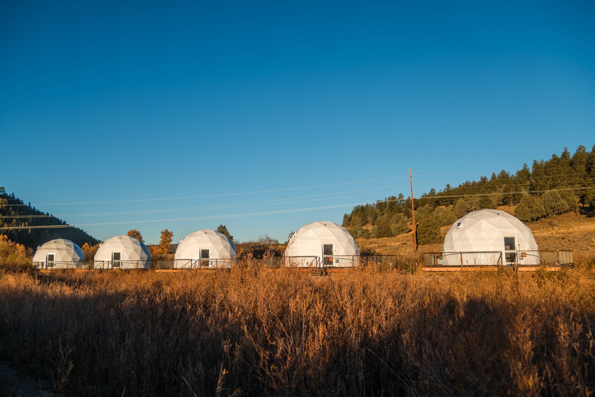 Five white geodesic domes in a grassy field with trees against a blue sky.