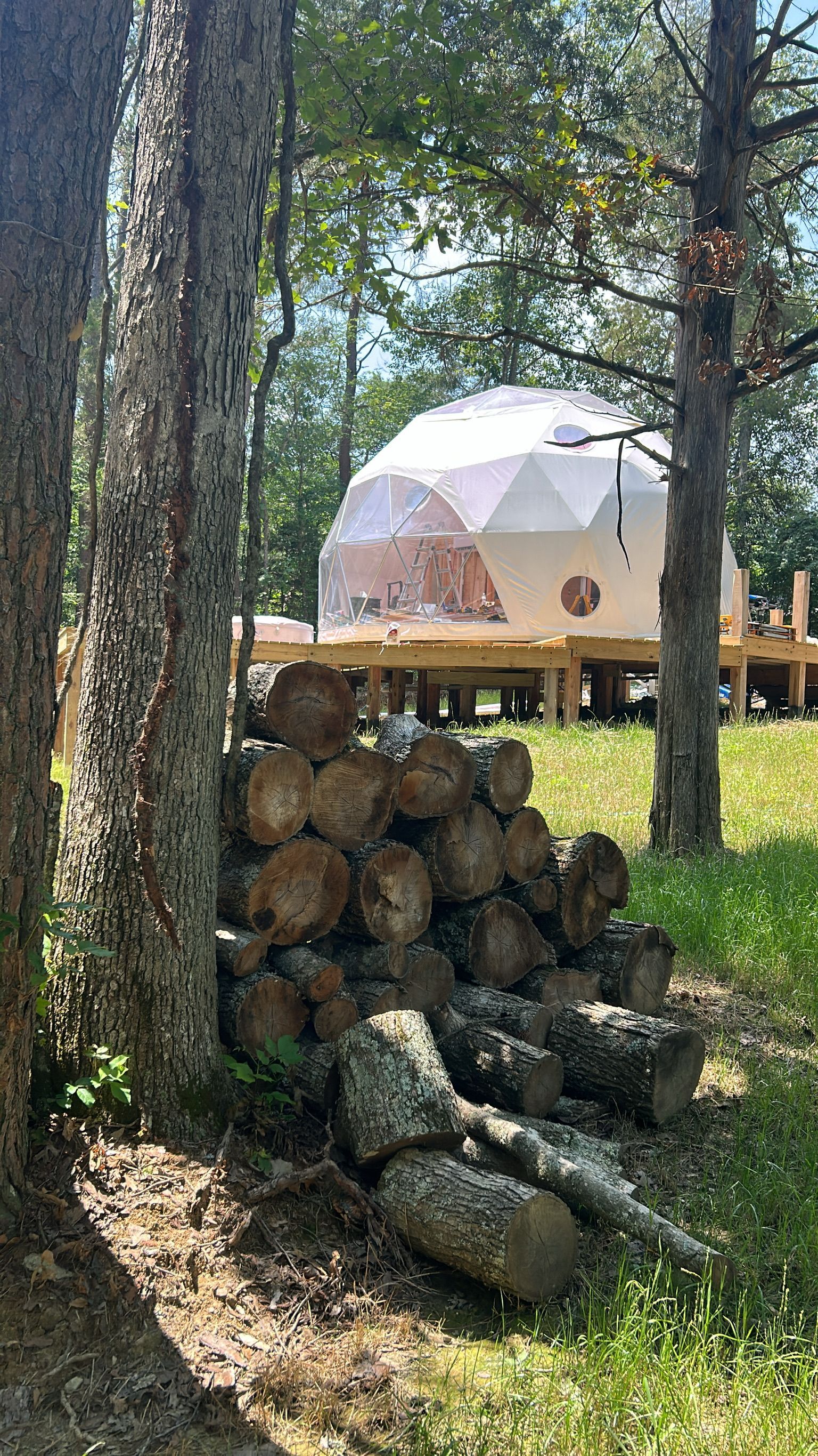 A dome tent is sitting in the middle of a field next to a pile of logs.
