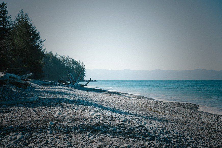 Plastic-free shorelines