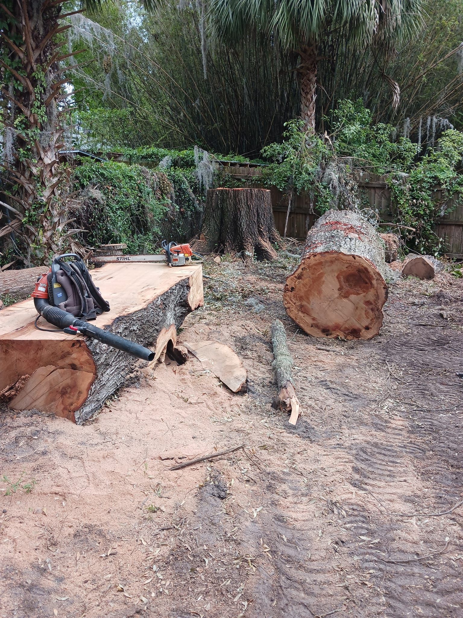 A tree stump is sitting on the ground next to a blower.