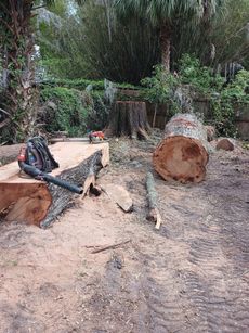 A tree stump is sitting on the ground next to a blower.