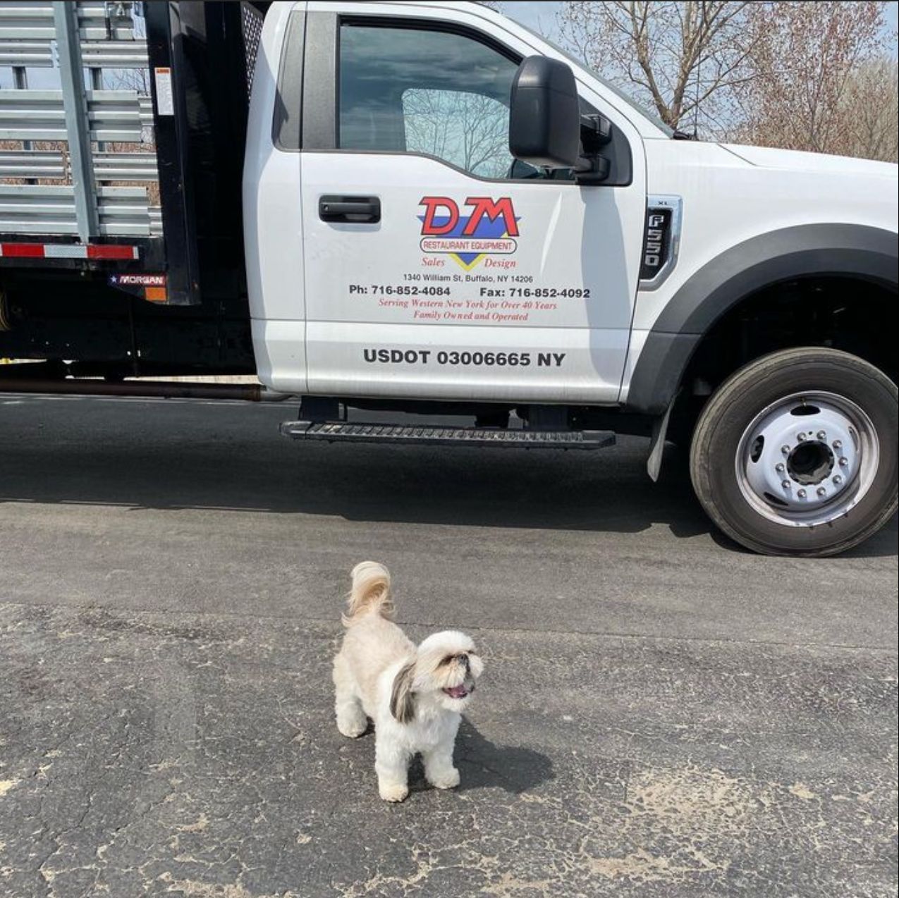 a small dog standing in front of a truck that says dm construction equipment