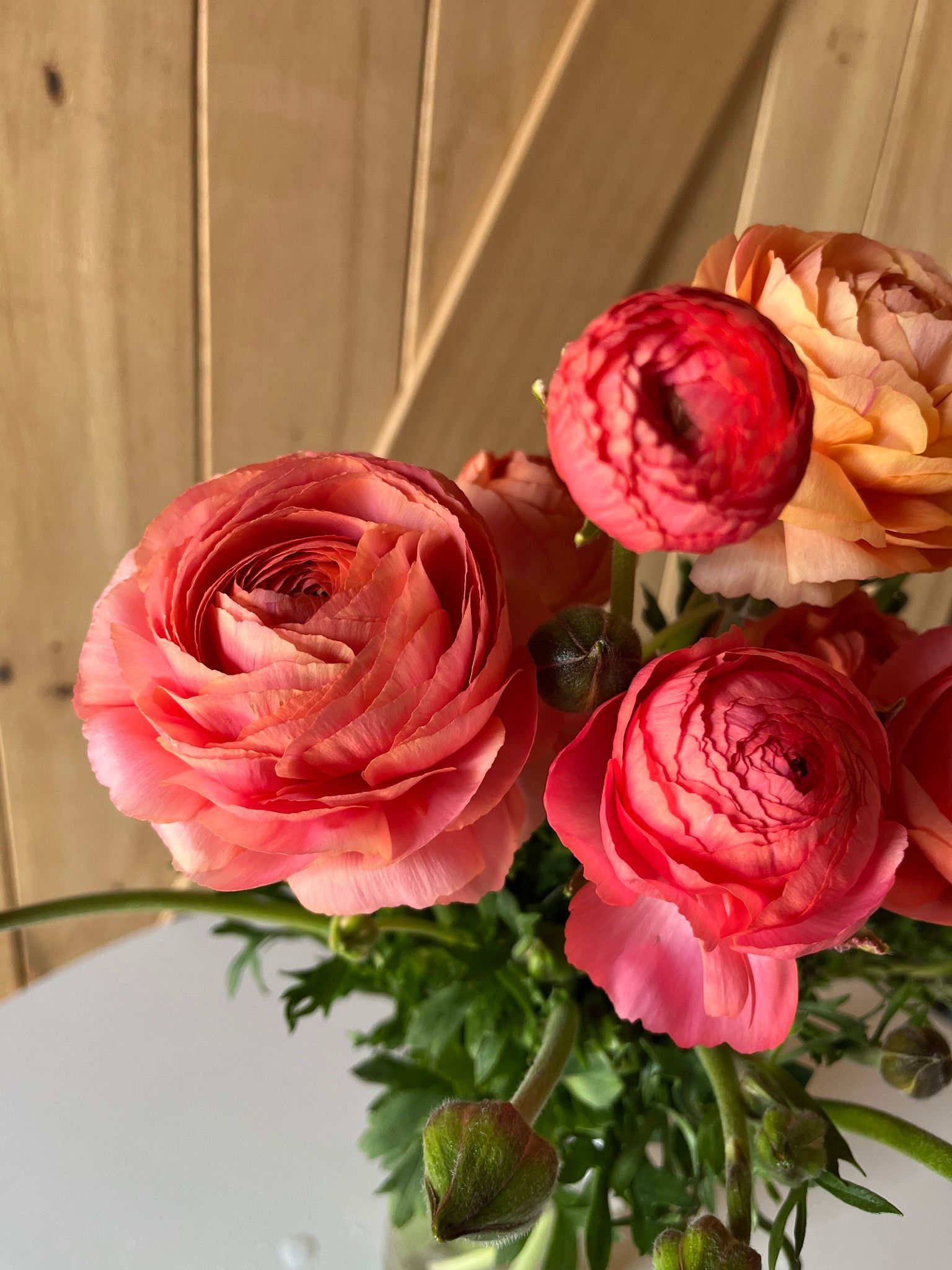 warm tone ranunculus locally grown in Lancaster Ohio