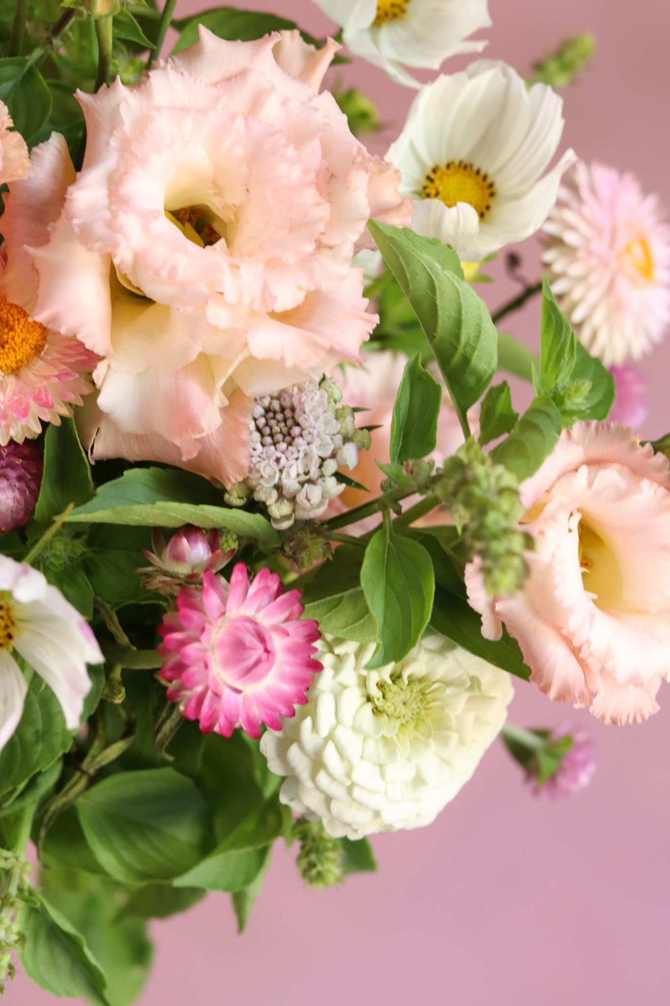 Light pink romantic summer arrangement with lisianthus, cosmos, scabiosa, and strawflower