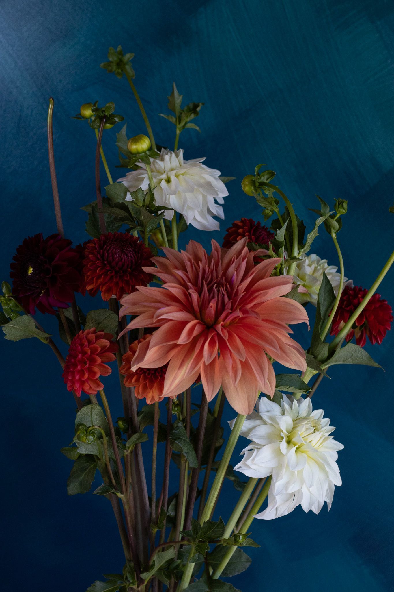 mixed dahlias locally grown in Lancaster Ohio