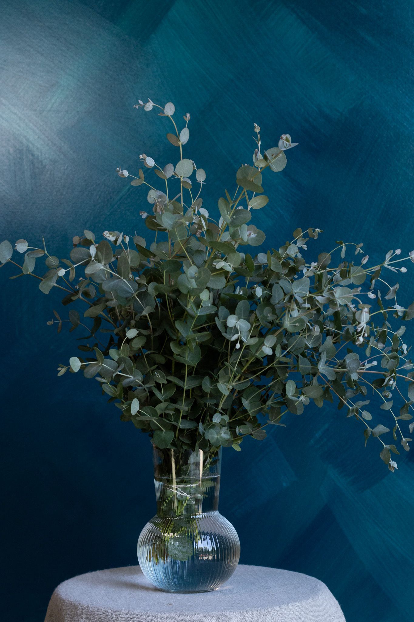 eucalyptus for florists locally grown in Lancaster Ohio