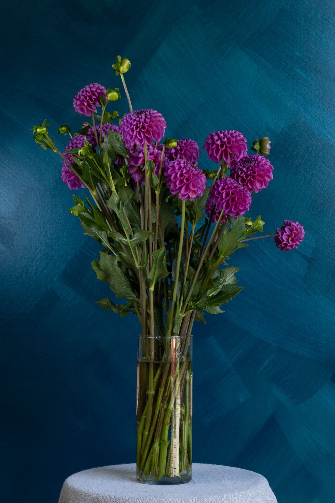 purple dahlias locally grown in Lancaster Ohio