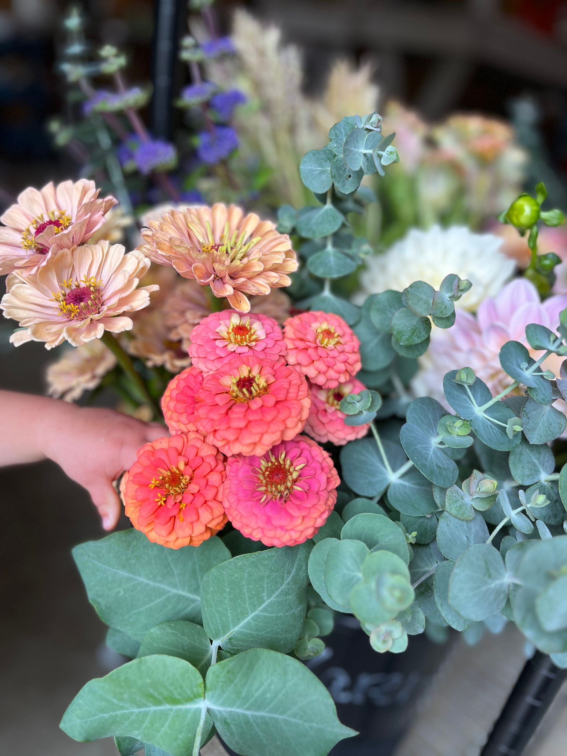 soft and cool florals locally grown in Lancaster Ohio