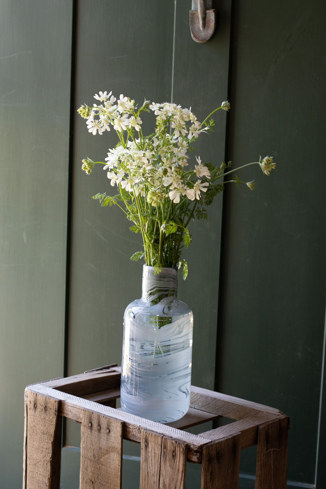 White filler flowers locally grown in Lancaster Ohio
