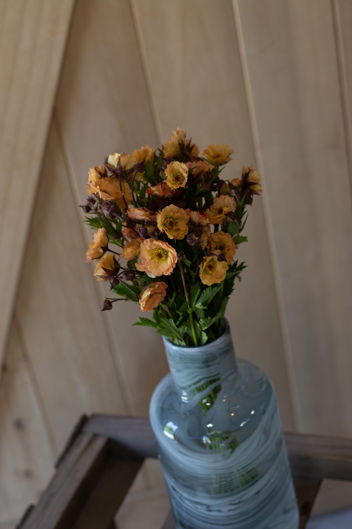Unique small yellow to orange ranunculus locally grown in Lancaster Ohio for florists