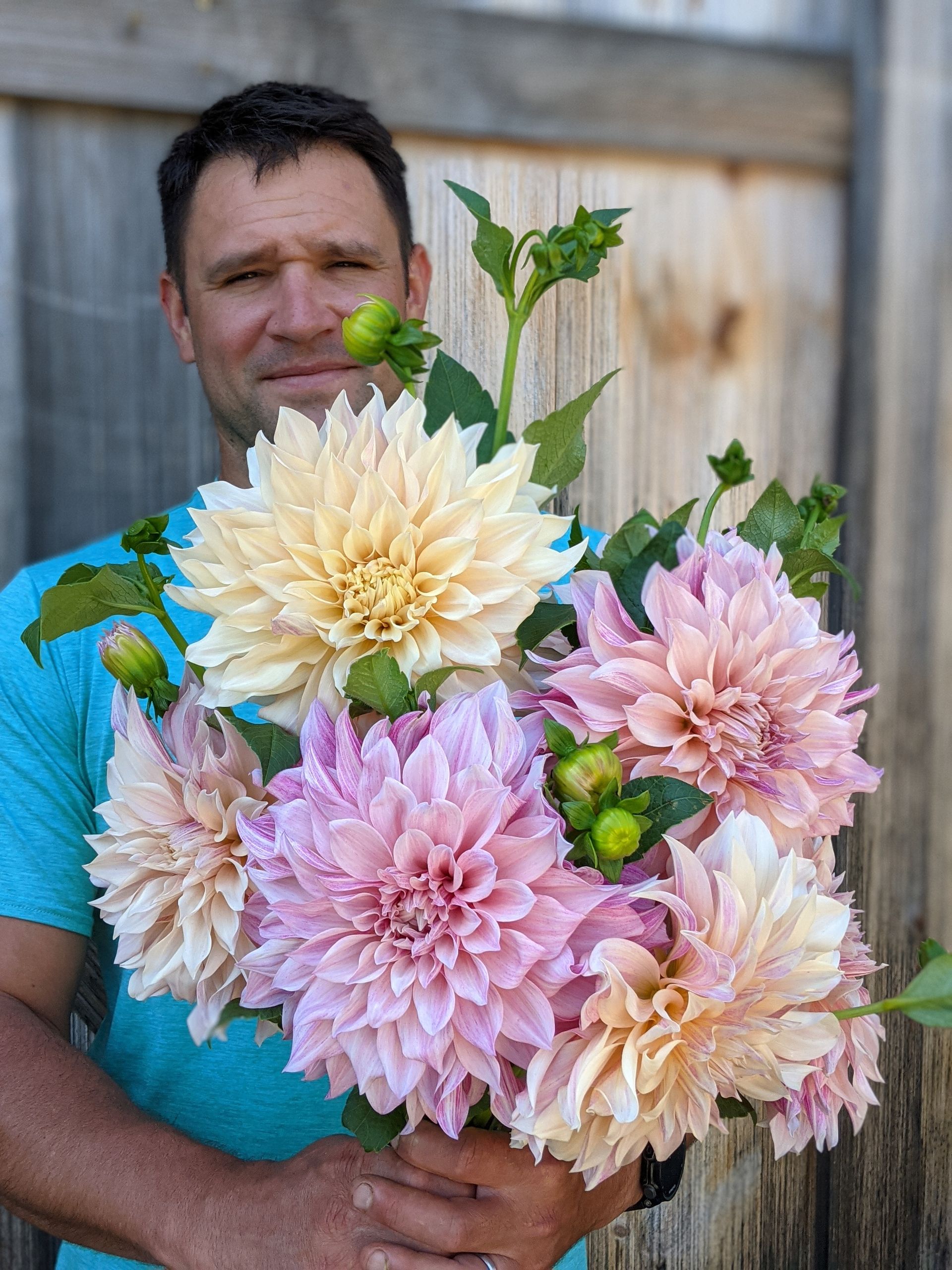 Dahlia 'cafe au lait' locally grown in Lancaster Ohio