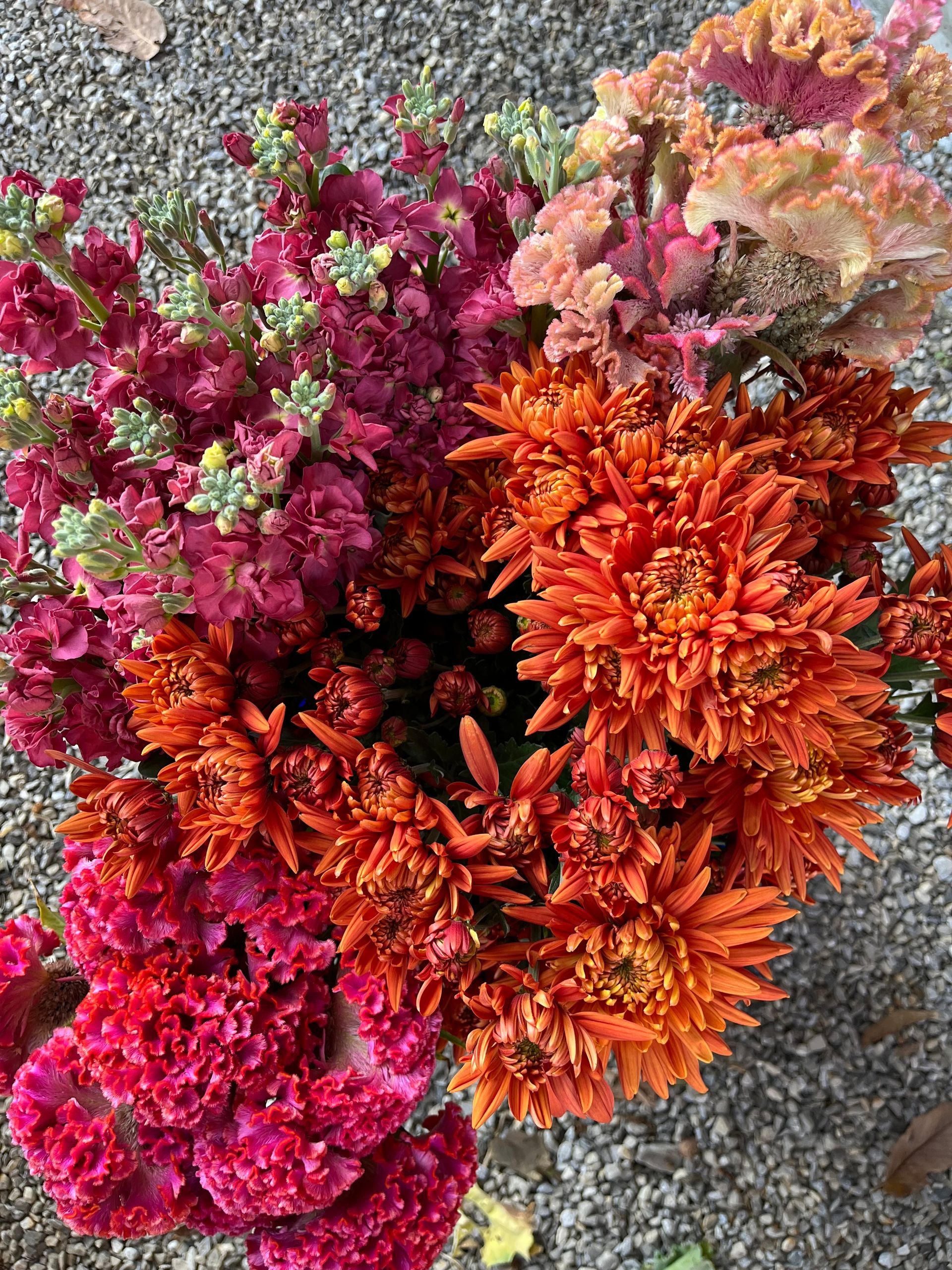 October delivery of local flowers for florists