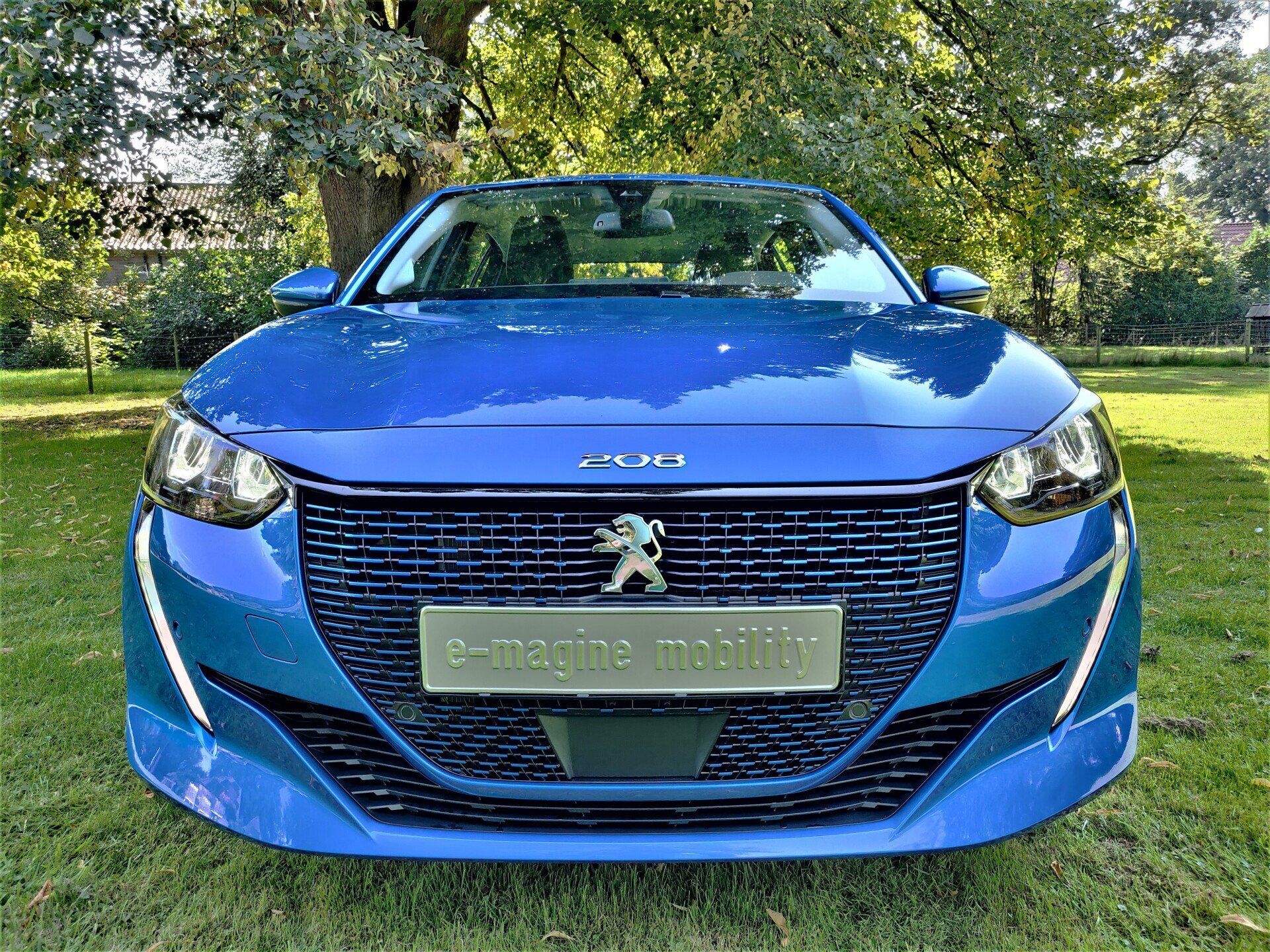 Peugeot e-208 exterieur