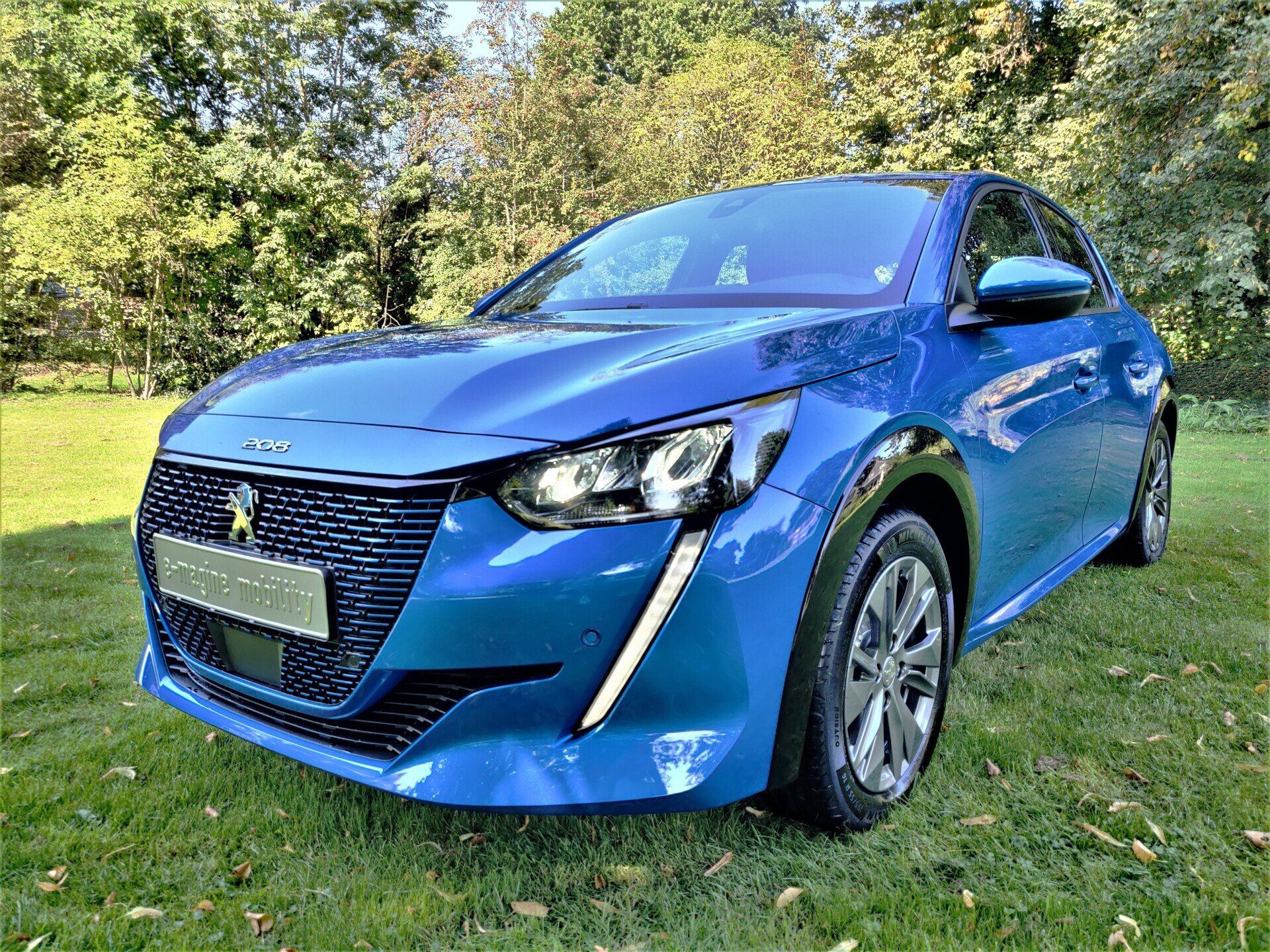 Peugeot e-208 exterieur