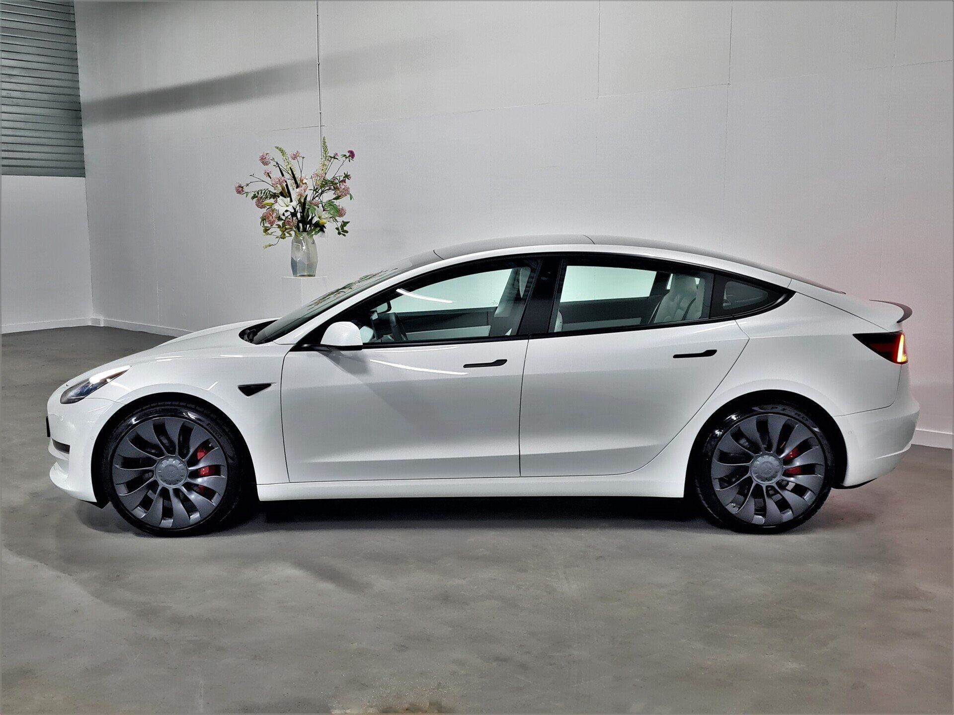 Tesla Model 3 Performance