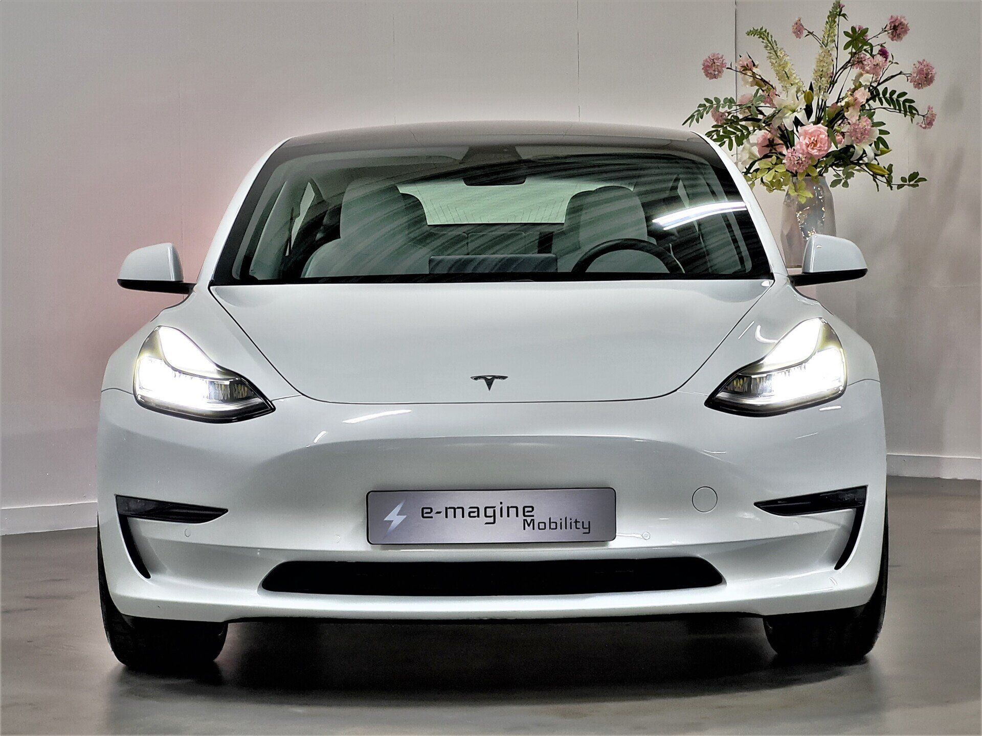 Tesla Model 3 Performance