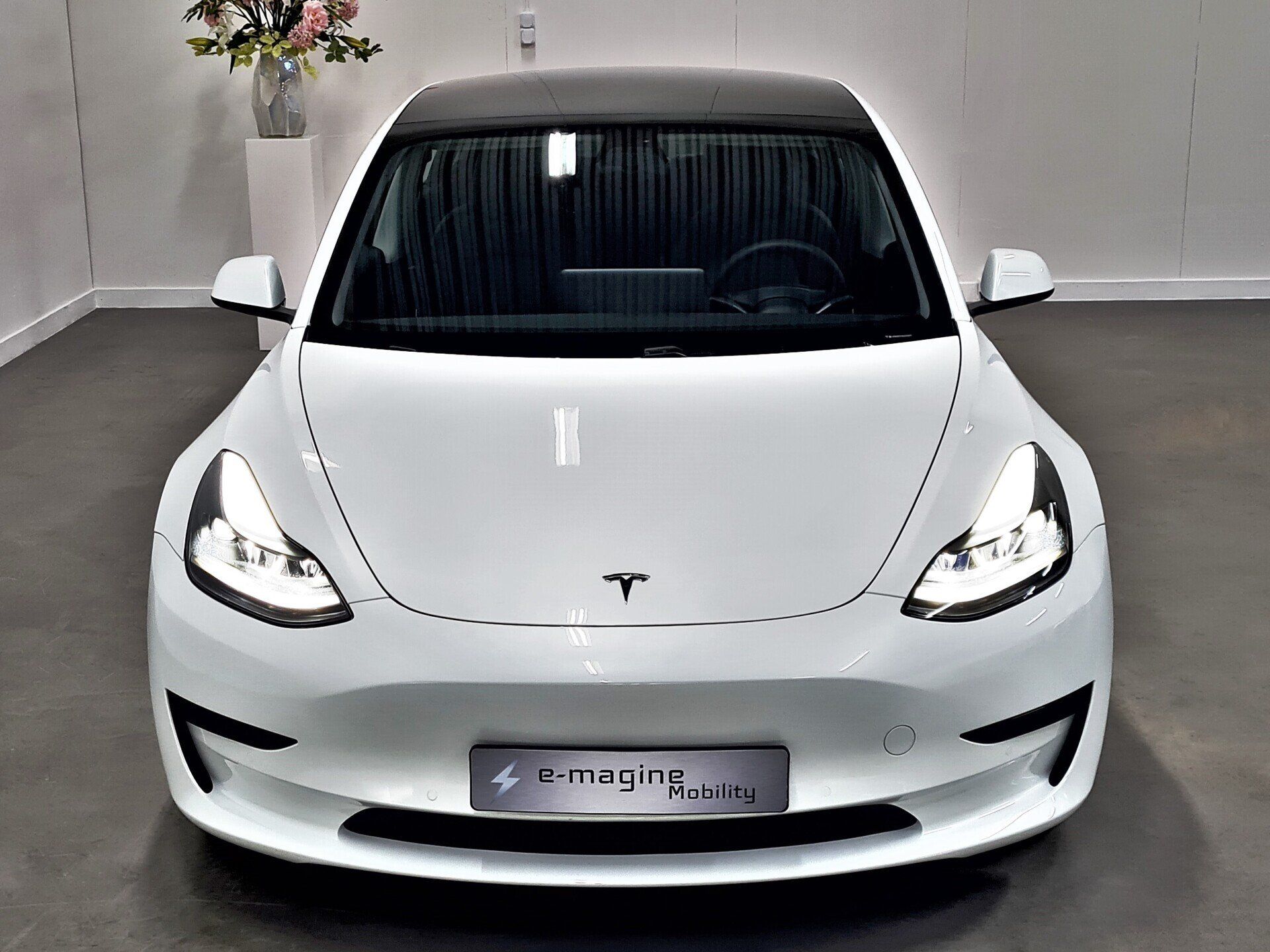 Tesla Model 3 Standard Range Plus