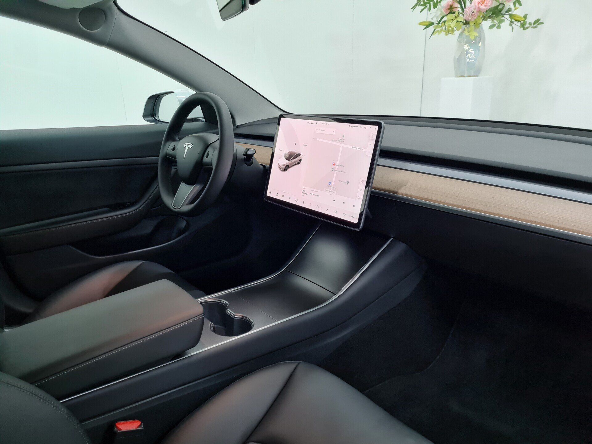 Tesla Model 3 Standard Range Plus