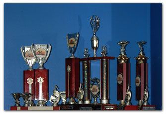 Trophies on a shelf against a blue wall. Silver and gold cups, some with wooden bases, are on display.