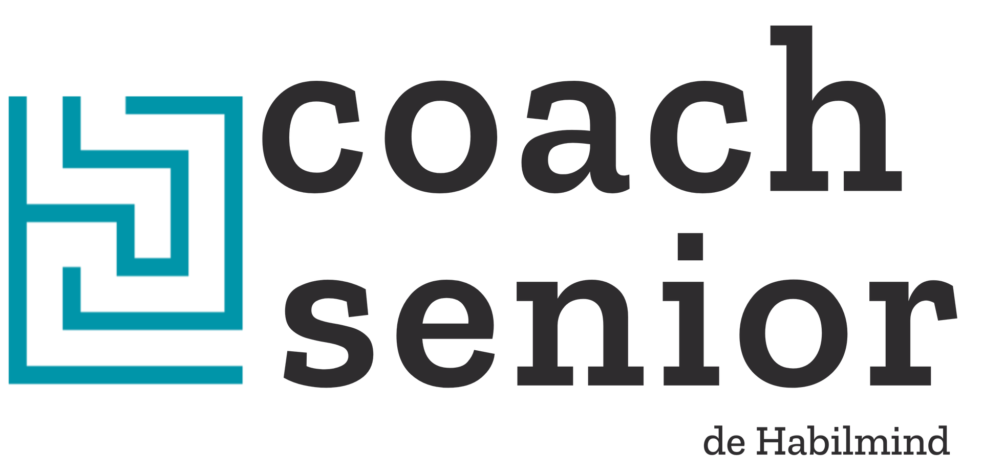 O que é um coach sénior