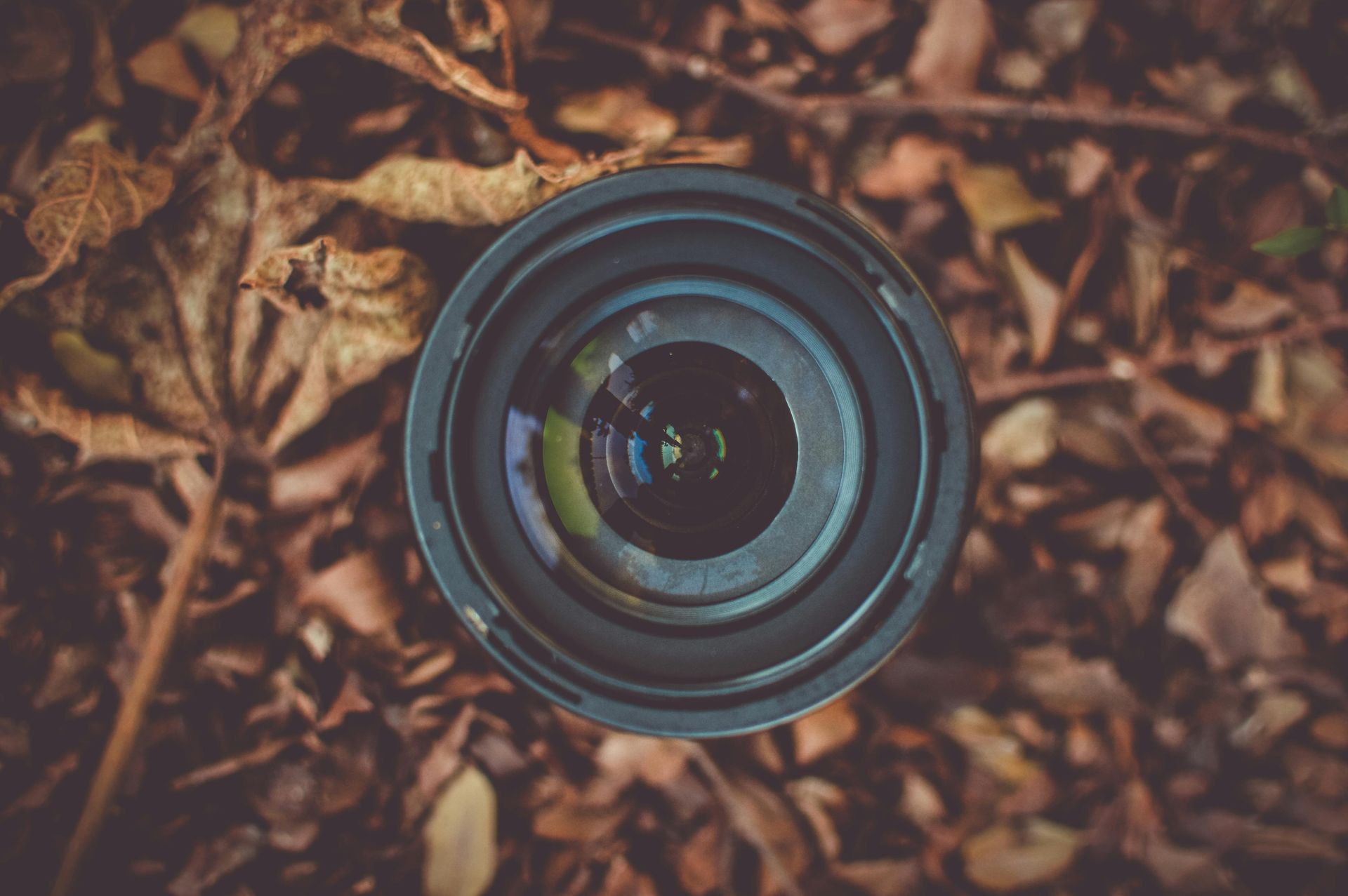 Camera lens resting on brown autumn leaves.