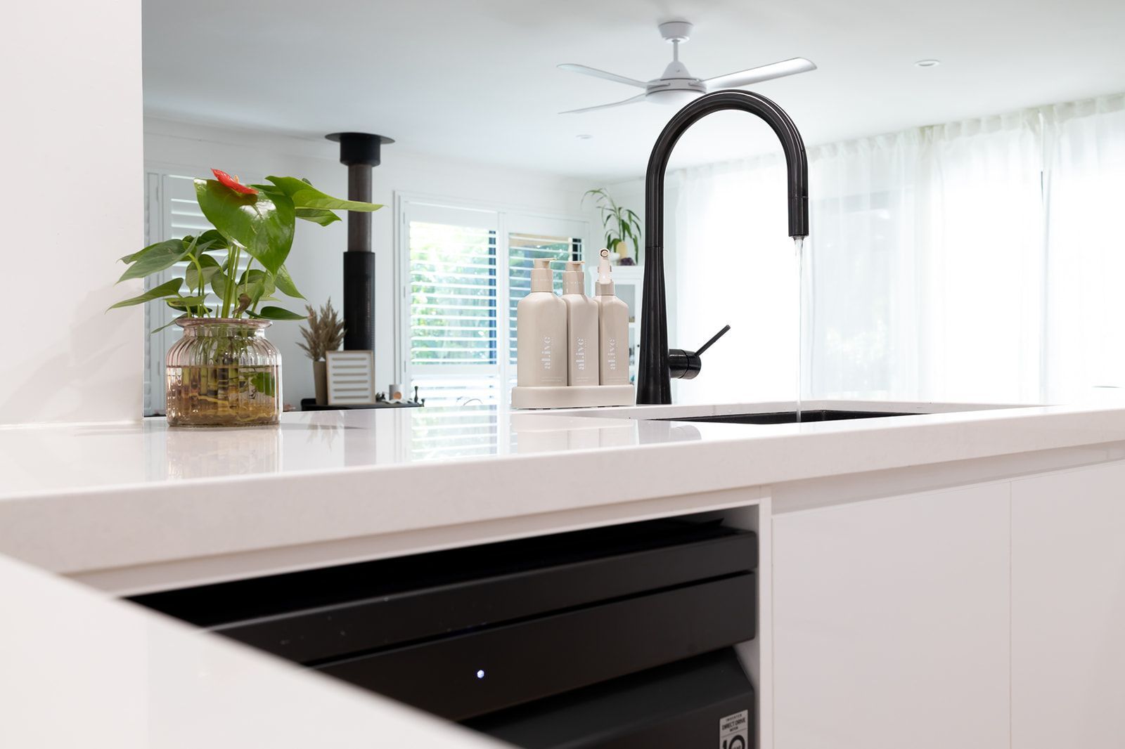 Lake Cooroibah Project