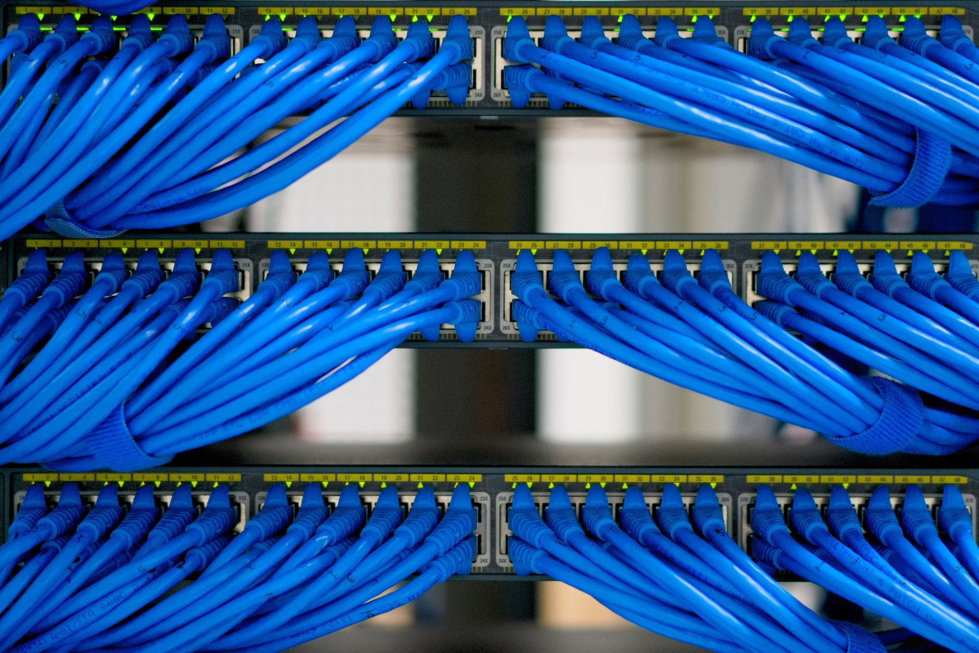 Managed array of blue Cat5e ethernet cables
