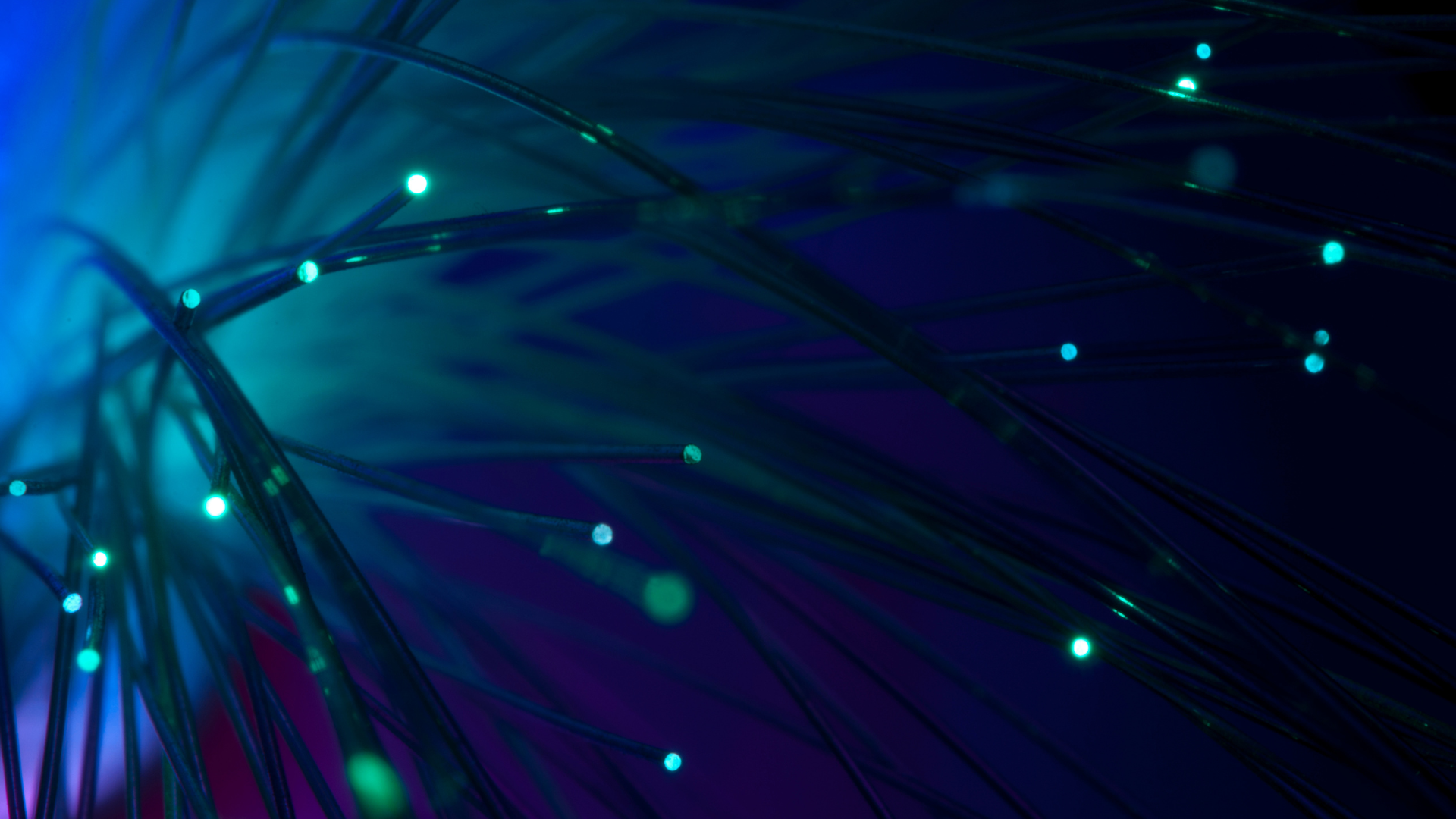 A close up of fiber optic fibers with glowing ends on a dark background.