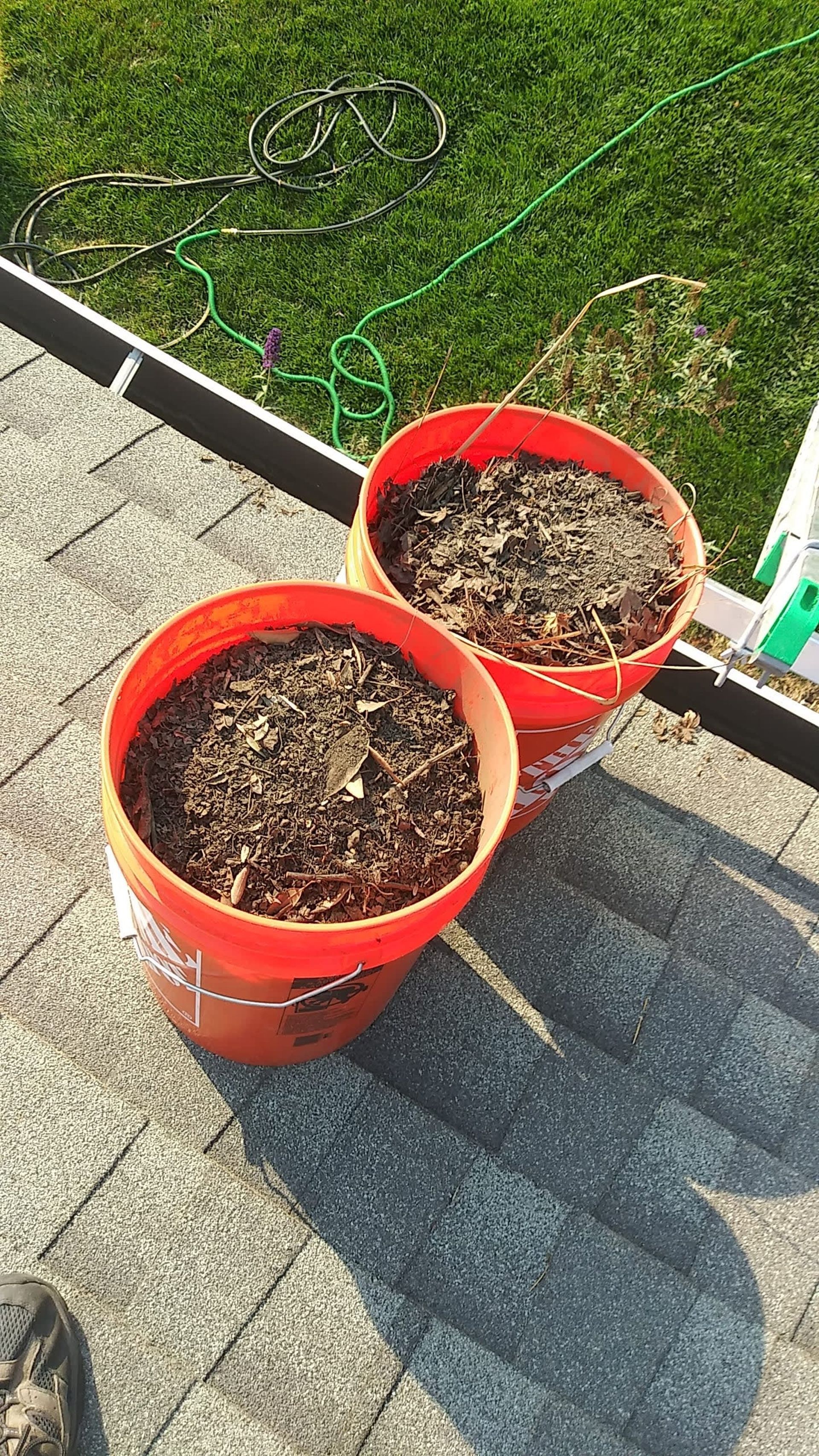 Two orange buckets filled with soil sit on a rooftop, sunny day.