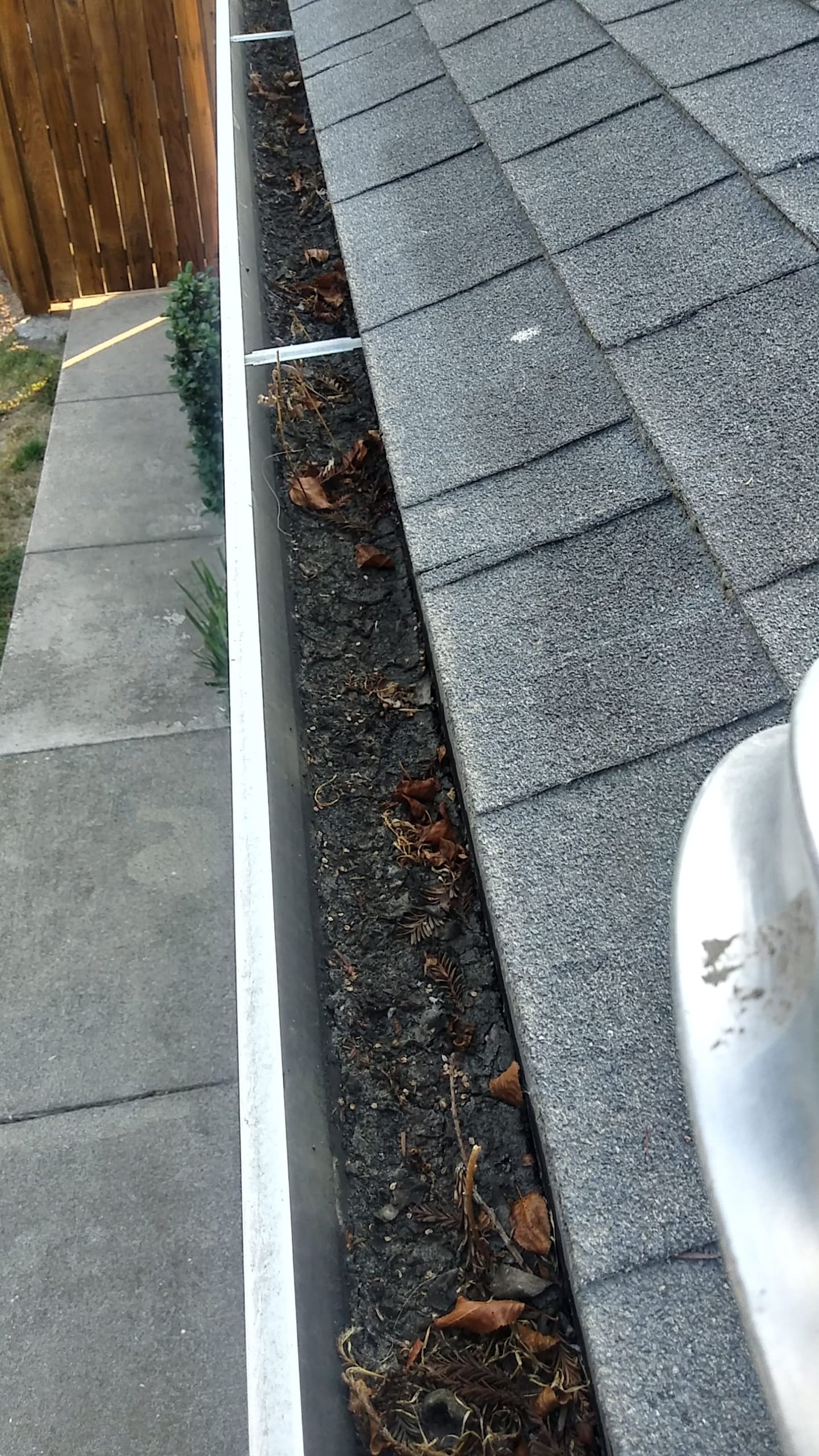 Roof gutter filled with leaves and debris. Gray shingles and a concrete walkway are nearby.