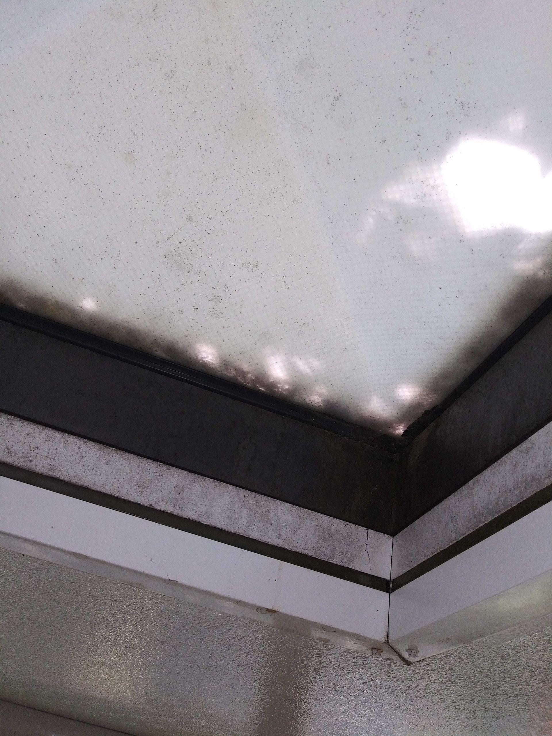 White, speckled ceiling with black trim and white border.